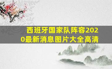 西班牙国家队阵容2020最新消息图片大全高清