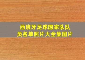 西班牙足球国家队队员名单照片大全集图片