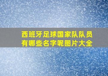 西班牙足球国家队队员有哪些名字呢图片大全