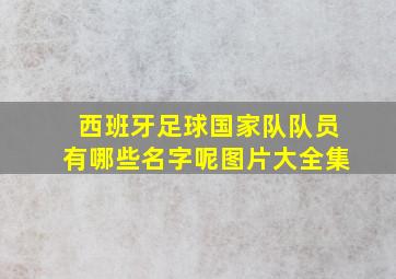 西班牙足球国家队队员有哪些名字呢图片大全集