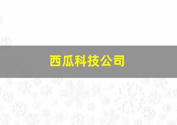 西瓜科技公司