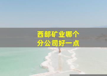 西部矿业哪个分公司好一点