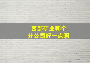 西部矿业哪个分公司好一点啊