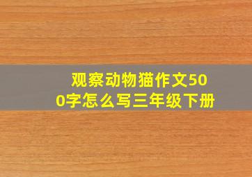 观察动物猫作文500字怎么写三年级下册