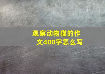 观察动物猫的作文400字怎么写