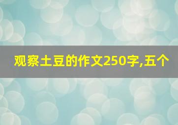 观察土豆的作文250字,五个