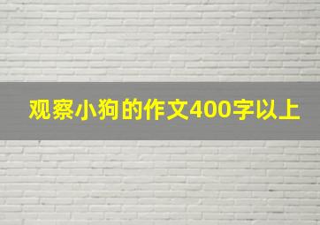 观察小狗的作文400字以上