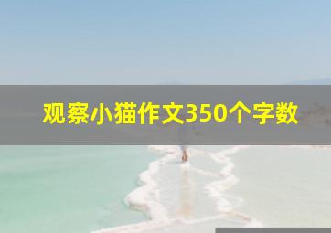 观察小猫作文350个字数