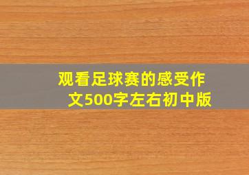 观看足球赛的感受作文500字左右初中版