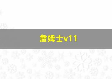 詹姆士v11