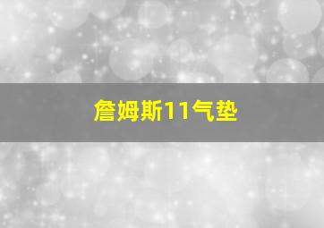 詹姆斯11气垫