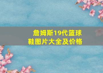 詹姆斯19代篮球鞋图片大全及价格