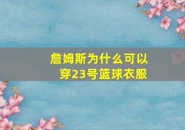 詹姆斯为什么可以穿23号篮球衣服