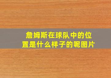 詹姆斯在球队中的位置是什么样子的呢图片