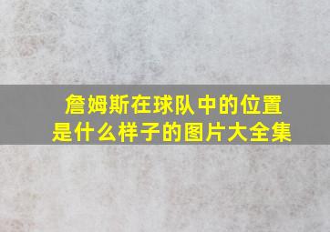 詹姆斯在球队中的位置是什么样子的图片大全集