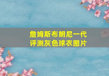 詹姆斯布朗尼一代评测灰色球衣图片