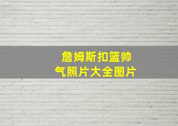 詹姆斯扣篮帅气照片大全图片