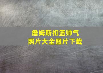 詹姆斯扣篮帅气照片大全图片下载