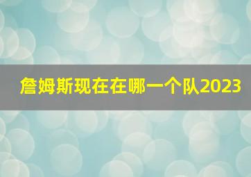 詹姆斯现在在哪一个队2023