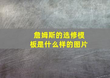 詹姆斯的选修模板是什么样的图片