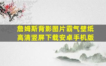 詹姆斯背影图片霸气壁纸高清竖屏下载安卓手机版