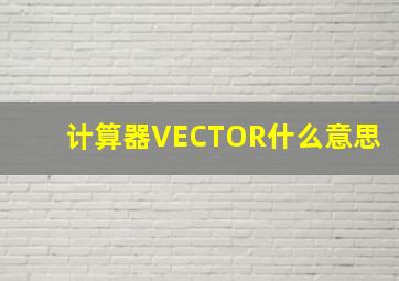 计算器VECTOR什么意思