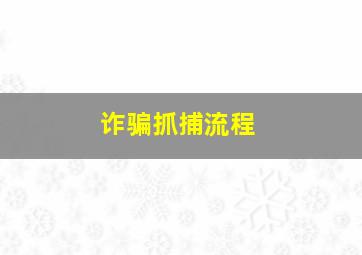 诈骗抓捕流程