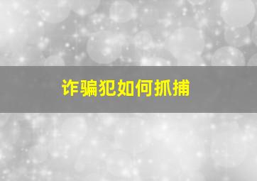 诈骗犯如何抓捕