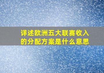 详述欧洲五大联赛收入的分配方案是什么意思