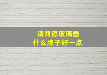 请问擦玻璃器什么牌子好一点