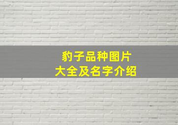 豹子品种图片大全及名字介绍