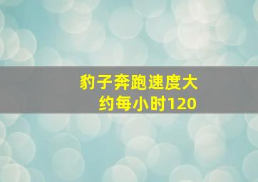 豹子奔跑速度大约每小时120