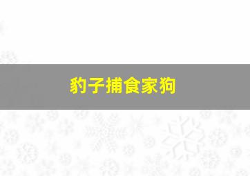 豹子捕食家狗