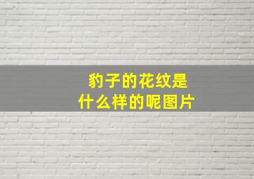 豹子的花纹是什么样的呢图片