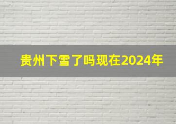 贵州下雪了吗现在2024年