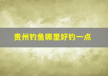 贵州钓鱼哪里好钓一点