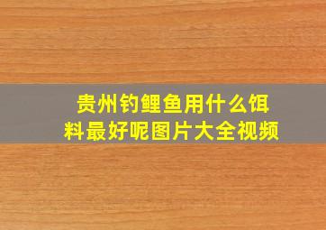 贵州钓鲤鱼用什么饵料最好呢图片大全视频