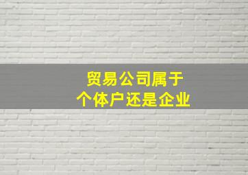 贸易公司属于个体户还是企业