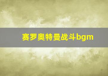 赛罗奥特曼战斗bgm