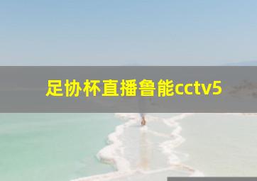 足协杯直播鲁能cctv5