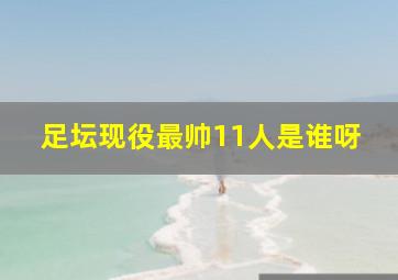 足坛现役最帅11人是谁呀