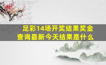 足彩14场开奖结果奖金查询最新今天结果是什么