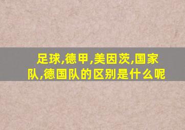 足球,德甲,美因茨,国家队,德国队的区别是什么呢