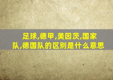 足球,德甲,美因茨,国家队,德国队的区别是什么意思