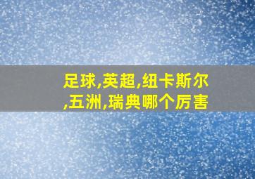 足球,英超,纽卡斯尔,五洲,瑞典哪个厉害