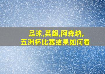 足球,英超,阿森纳,五洲杯比赛结果如何看