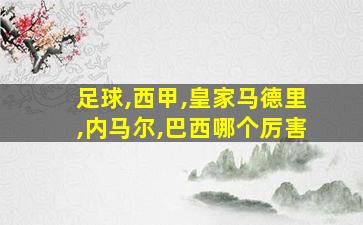 足球,西甲,皇家马德里,内马尔,巴西哪个厉害