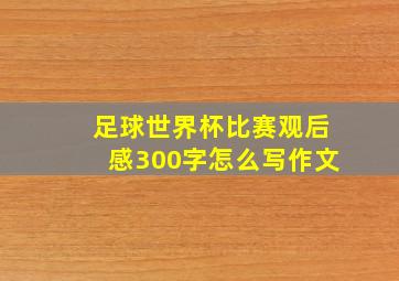 足球世界杯比赛观后感300字怎么写作文