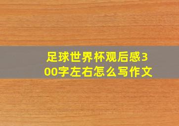 足球世界杯观后感300字左右怎么写作文