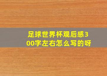 足球世界杯观后感300字左右怎么写的呀